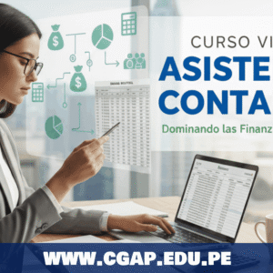 ASISTENTE CONTABLE
